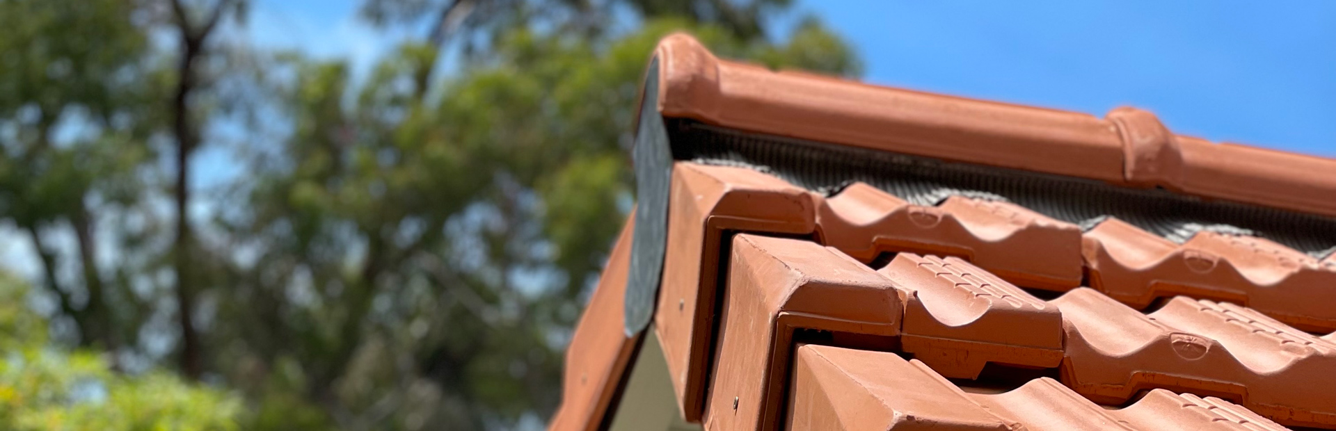 Traitement de charpente COTE TOIT